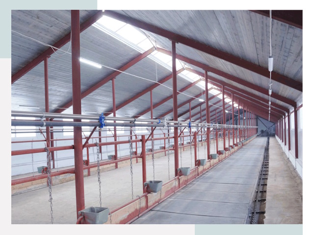 Строительство коровников в Петергофе от 628 руб.