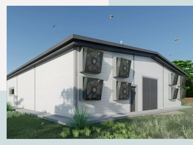 Строительство птичников в Петергофе