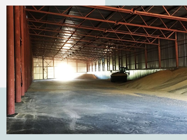 Строительство зернохранилищ в Петергофе