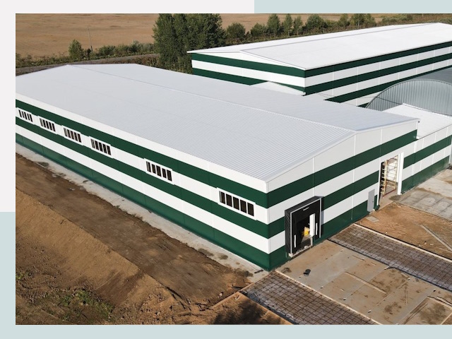 Строительство овощехранилищ в Петергофе