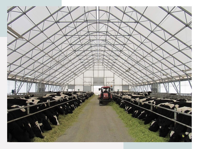 Тентовые коровники в Петергофе от 628 руб. - Надежно и доступно